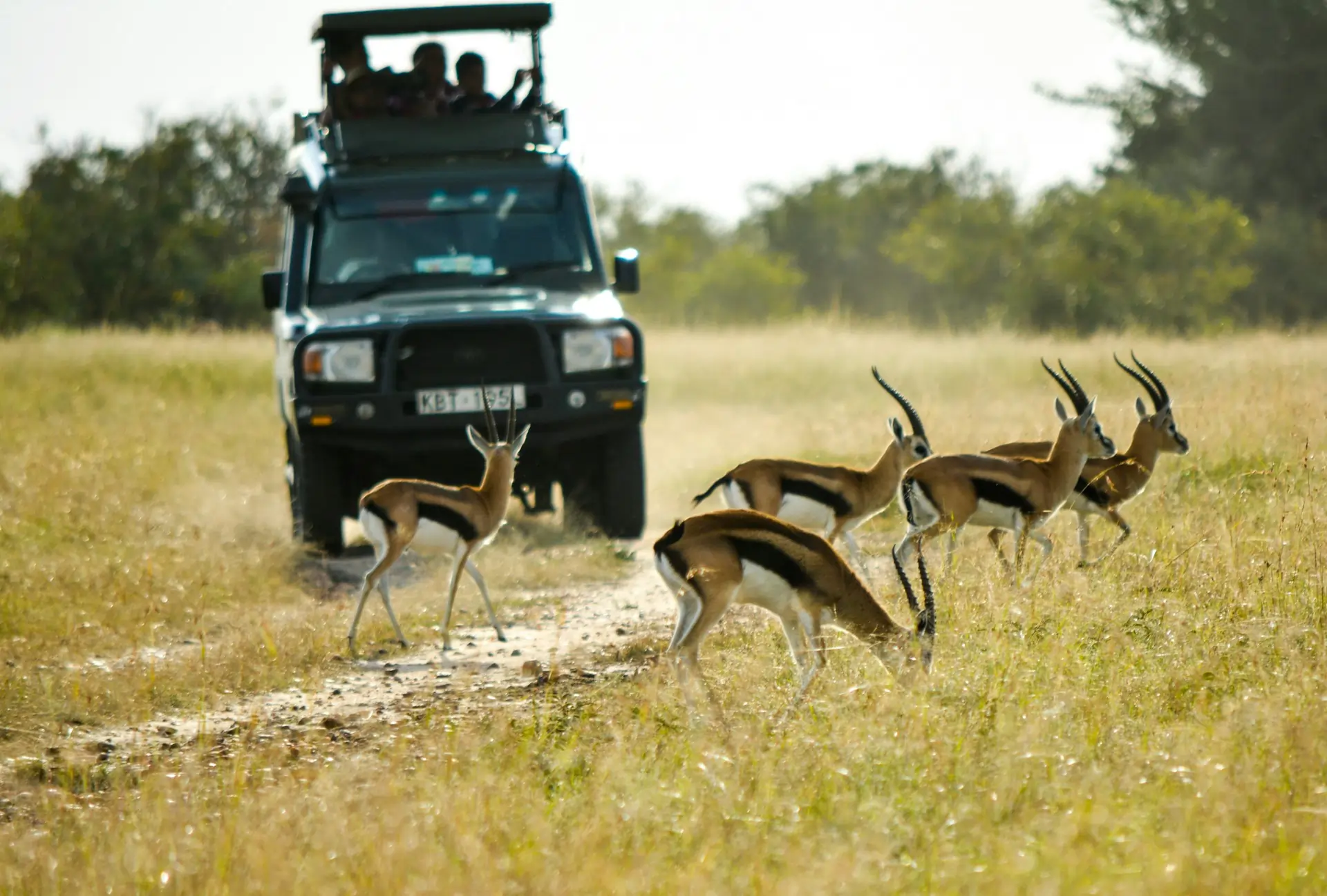 Game Drives